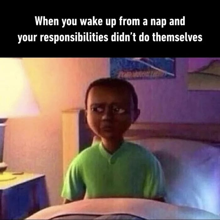 Responsibilities | National Lazy Day | Meme | MEGAStyle