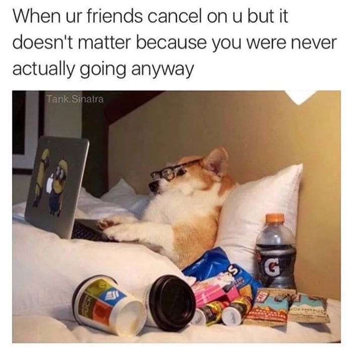Eating | Plans | National Lazy Day | Meme | MEGAStyle
