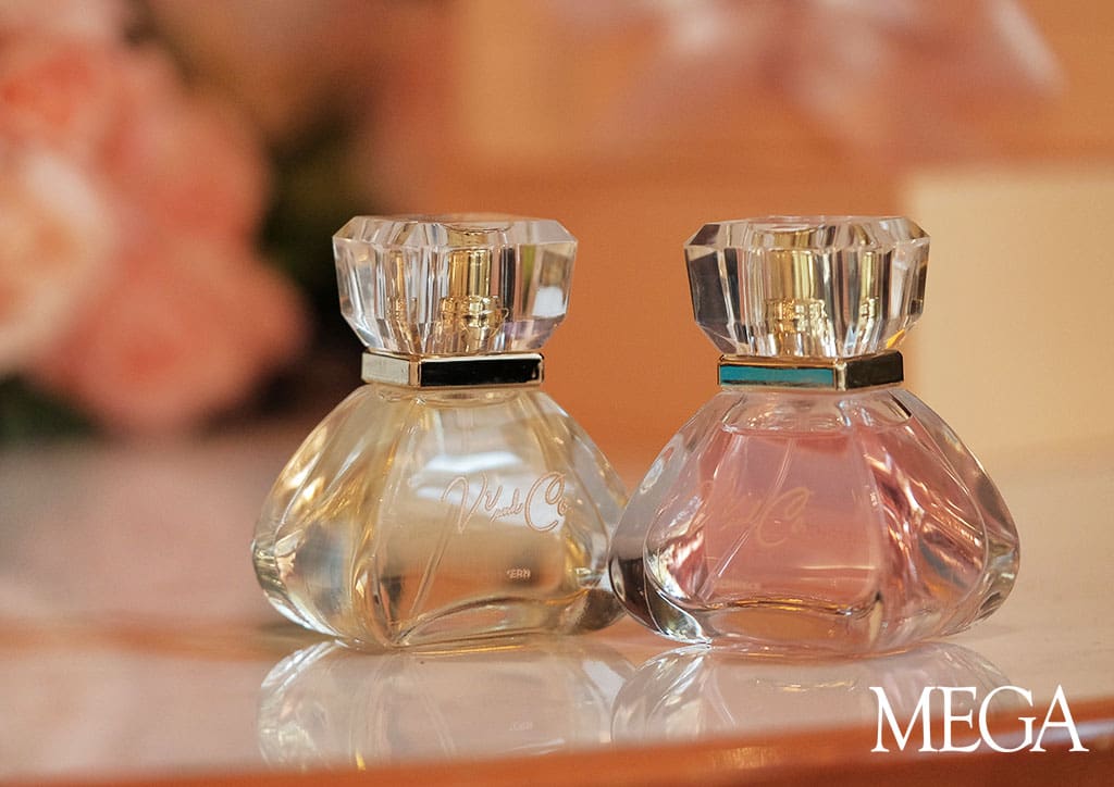 Everything You Missed At The MEGA Exclusives Launch Of VV And Co
