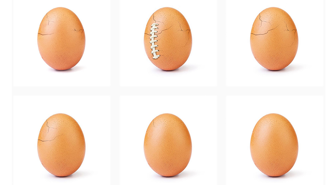 World Record Egg