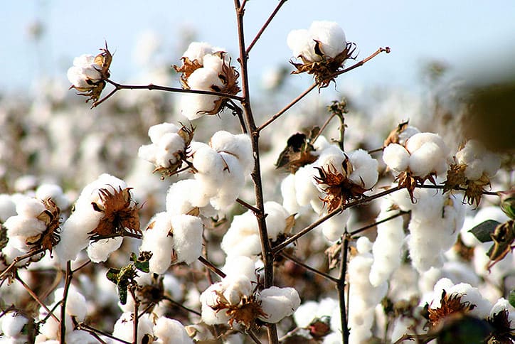MEGA | This Major Fashion Retailer Proves Sustainability And Product Transparency Come Together