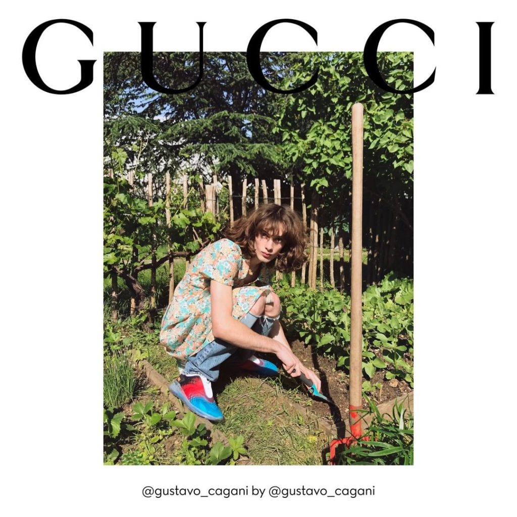 gucci quarantine
