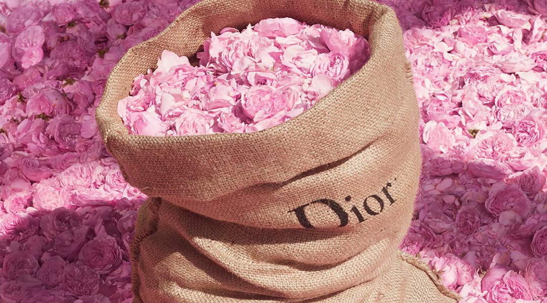Dior Art of Perfume