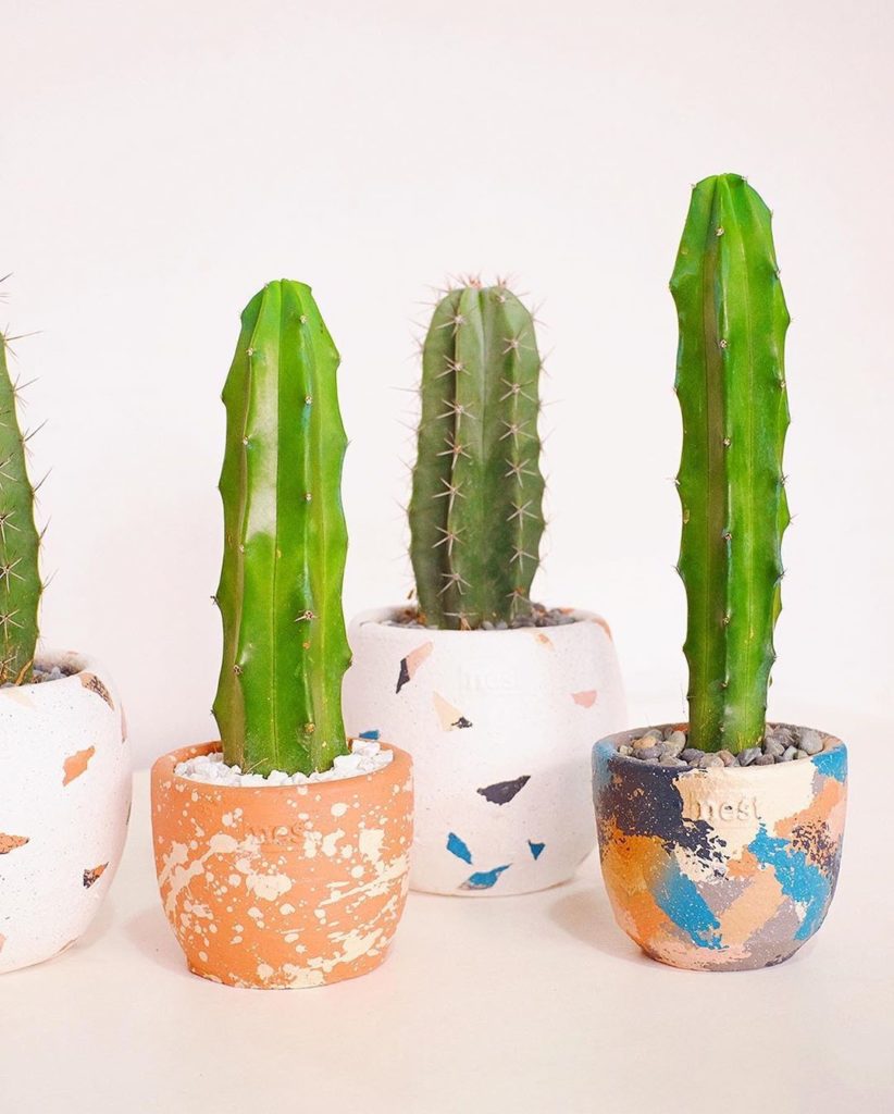 indoor garden