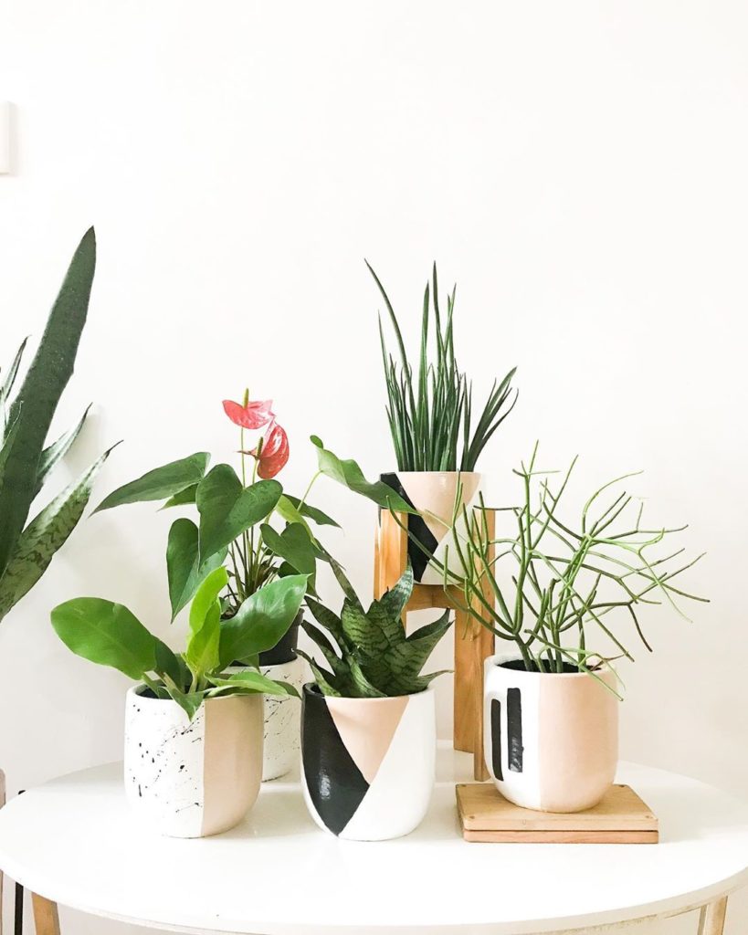 indoor garden