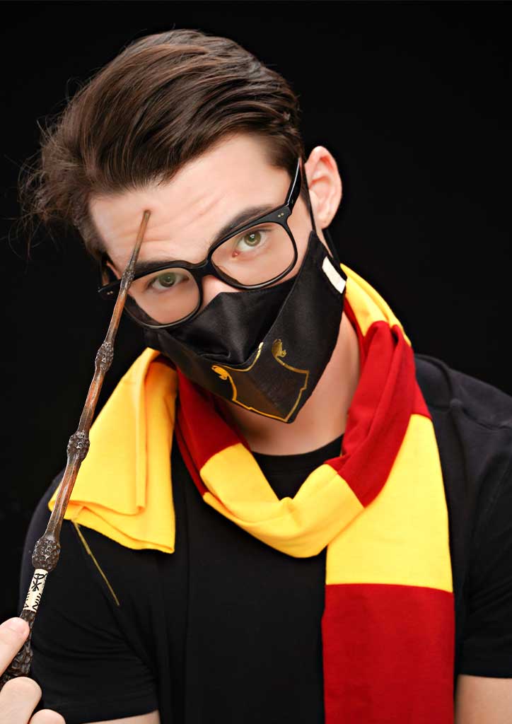 hogwarts houses mask