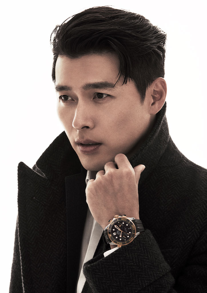 Hyun Bin OMEGA