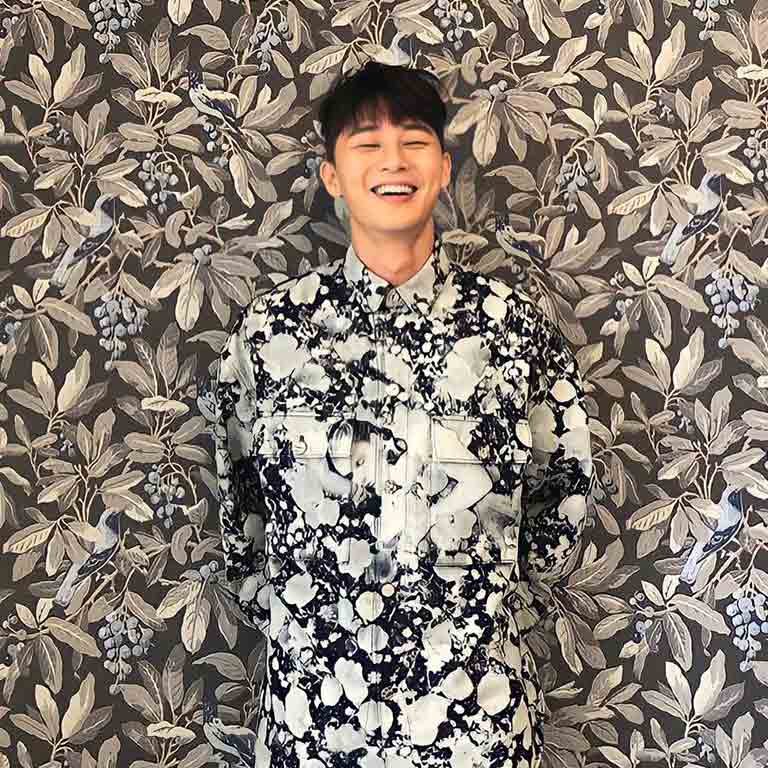 Park Seo Jun Fashion Chameleon