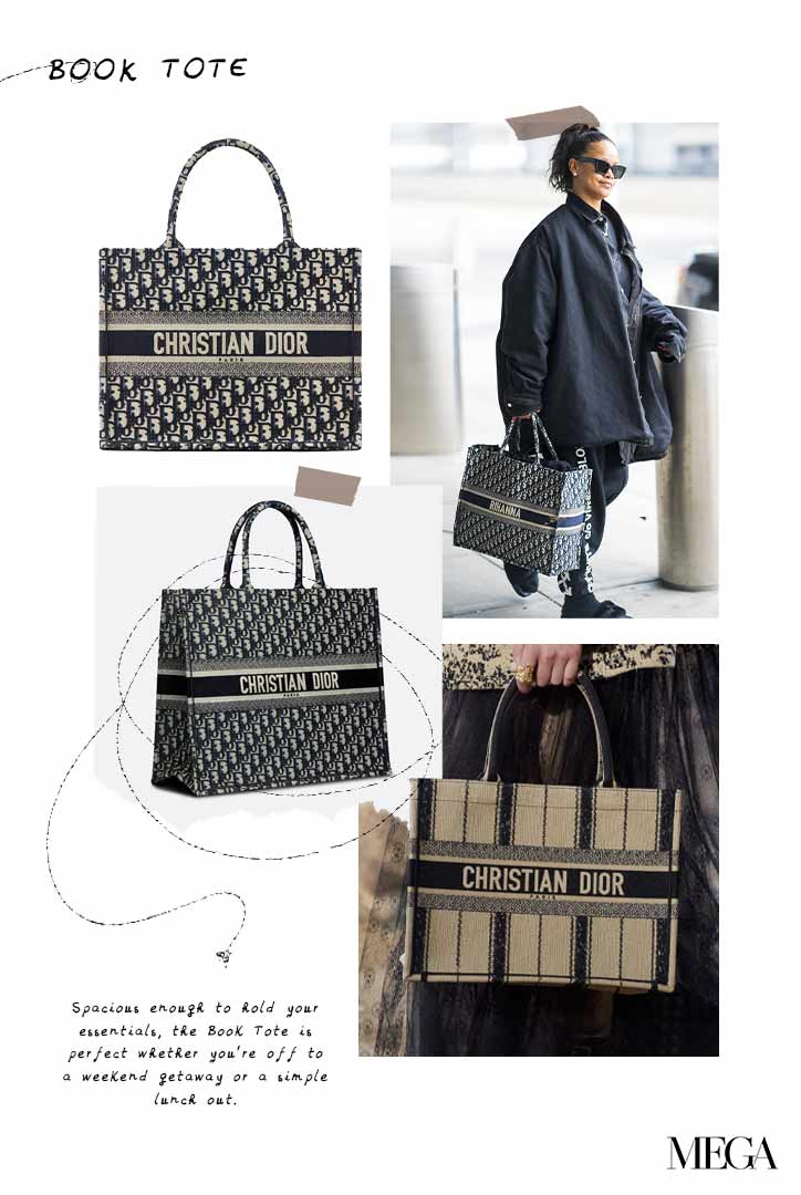 dior book tote
