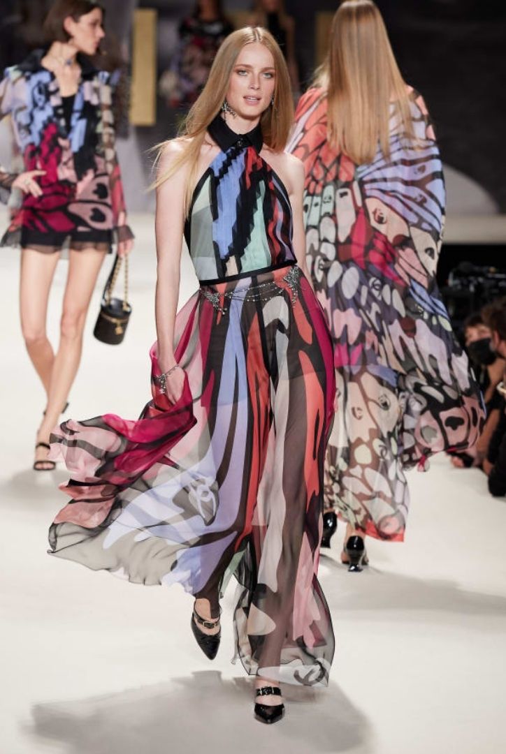 fashion butterfly