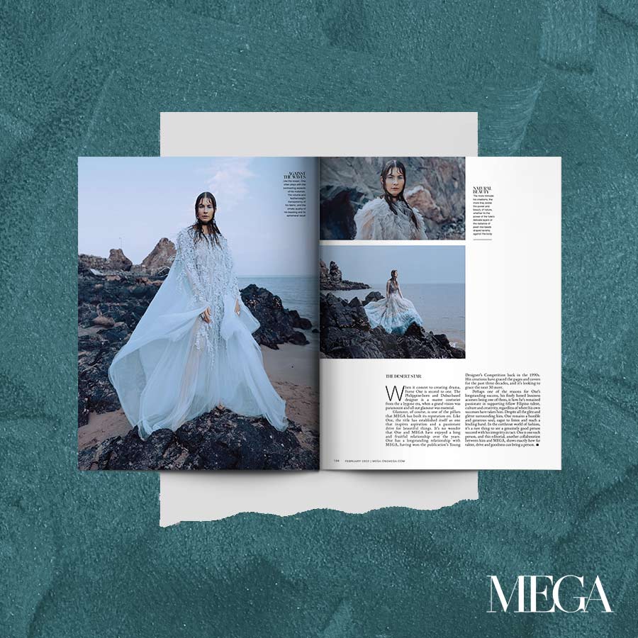 30th Anniversary MEGA