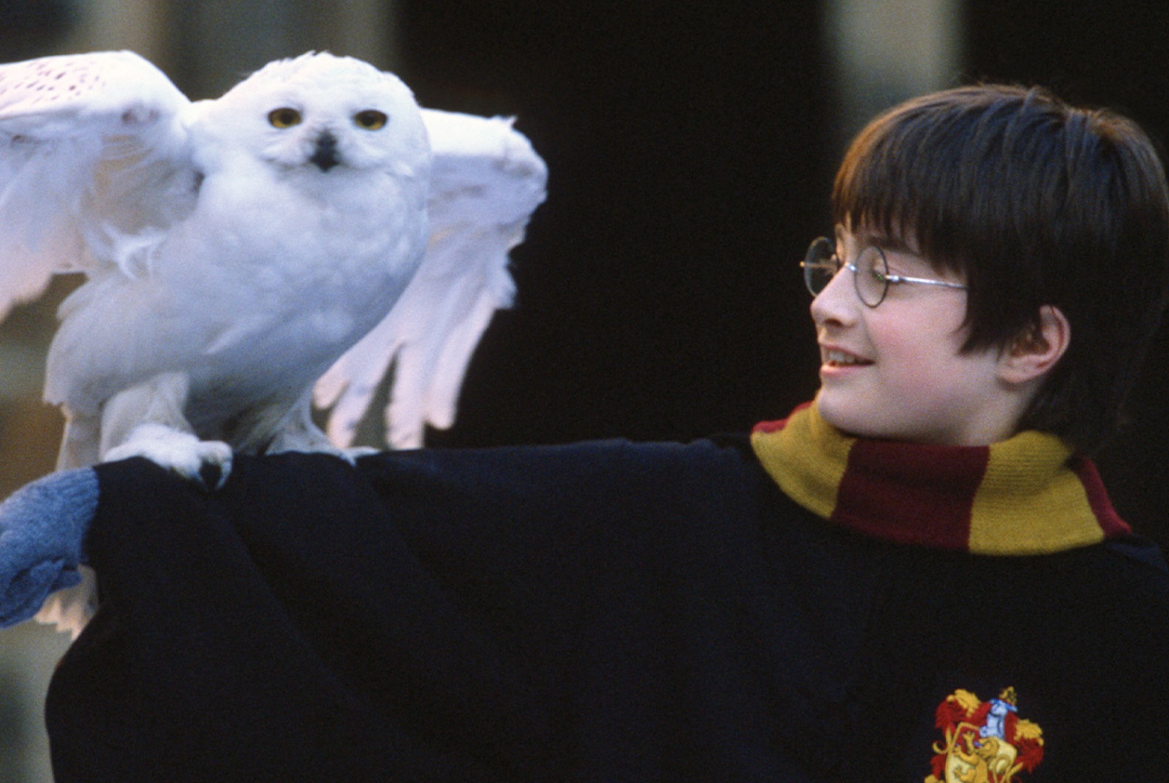 Harry Potter 