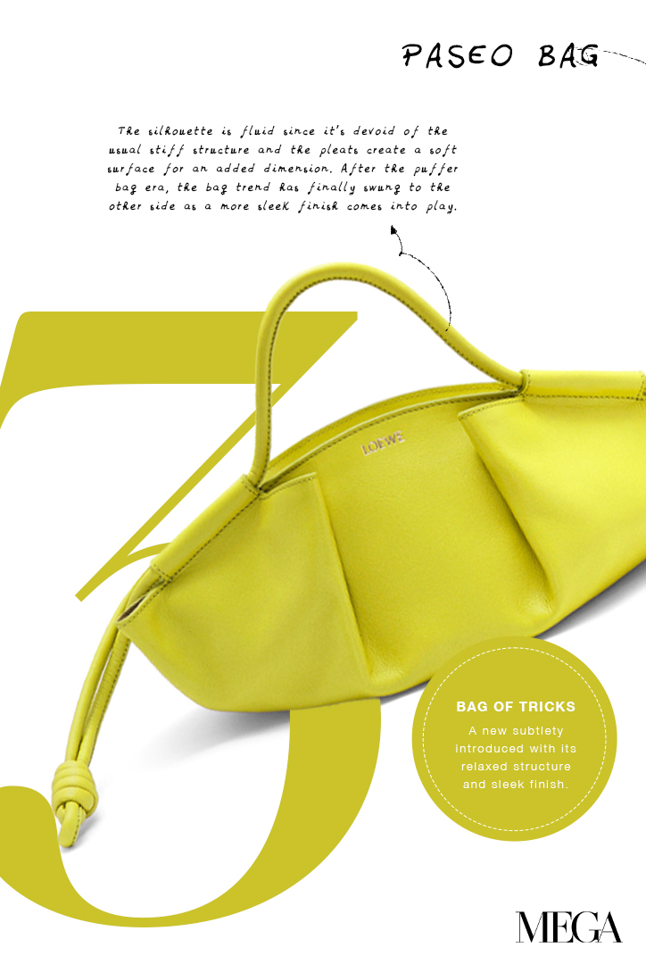 Loewe Paseo Bag