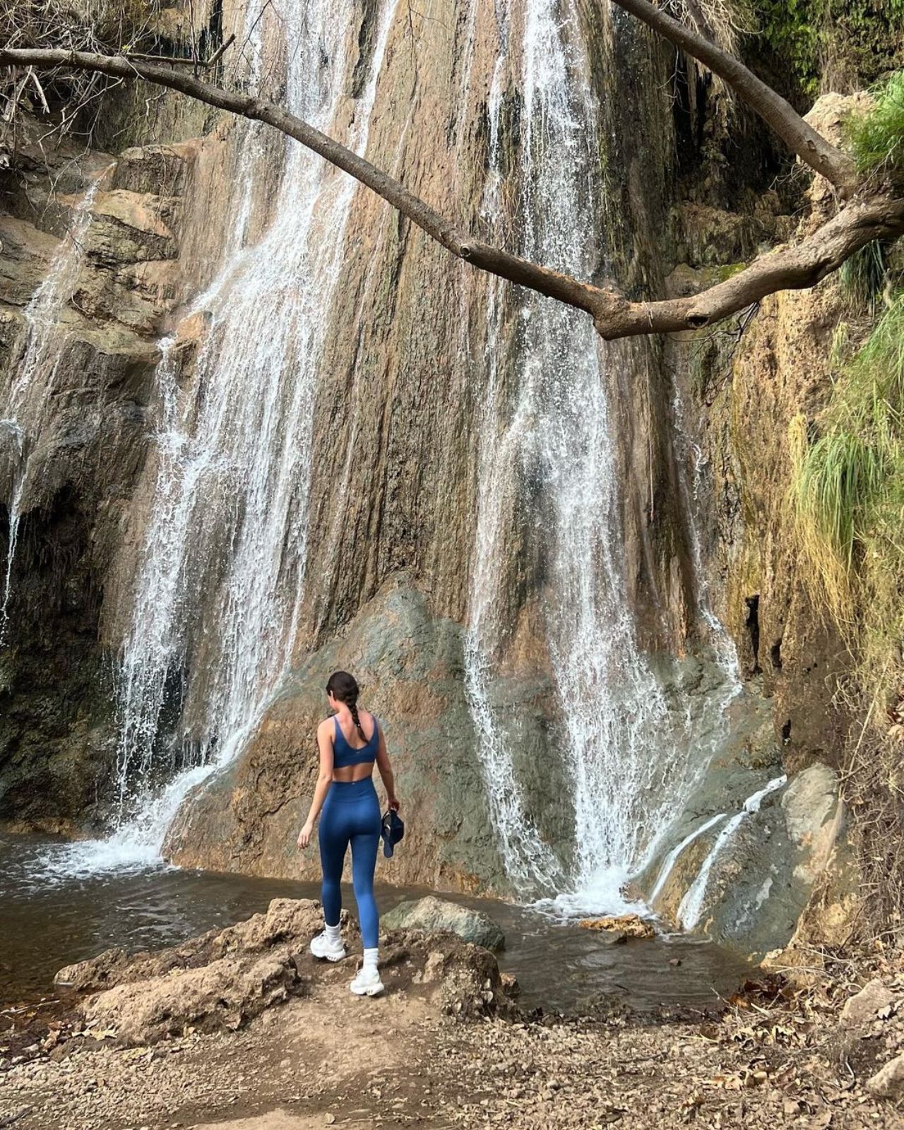 Biophilia Exercises and Forest Bathing 2023
