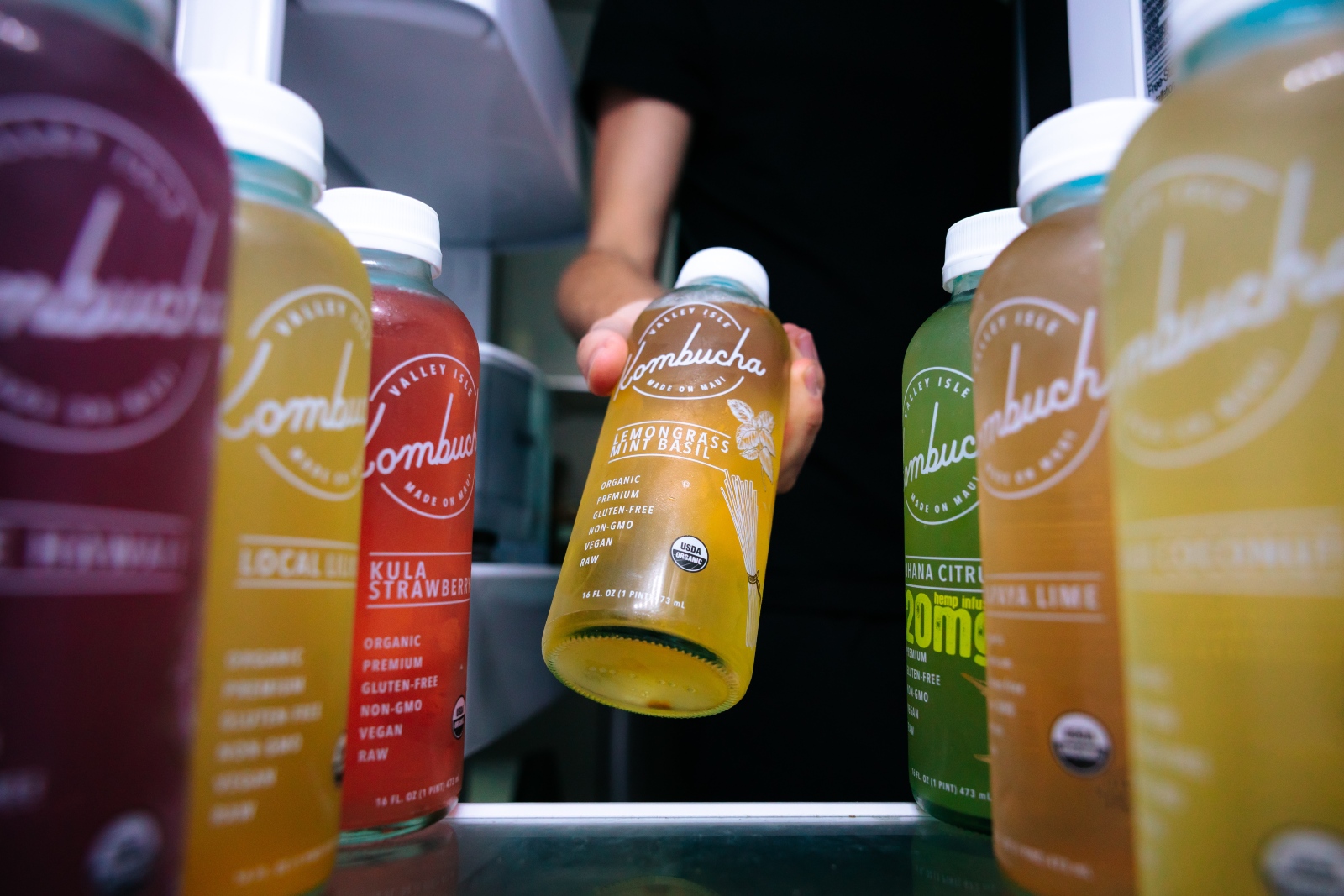 kombucha