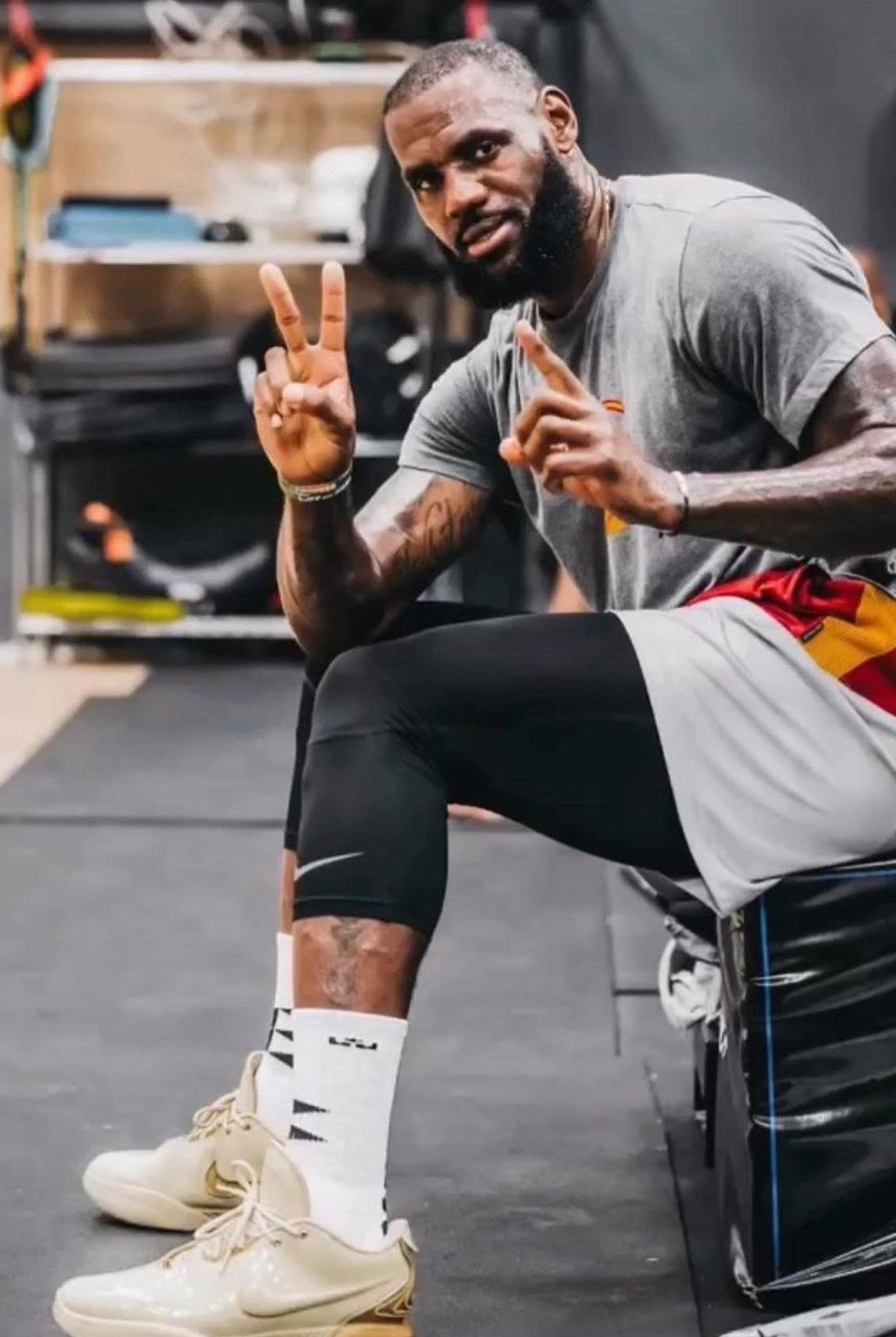Lebron James shoes