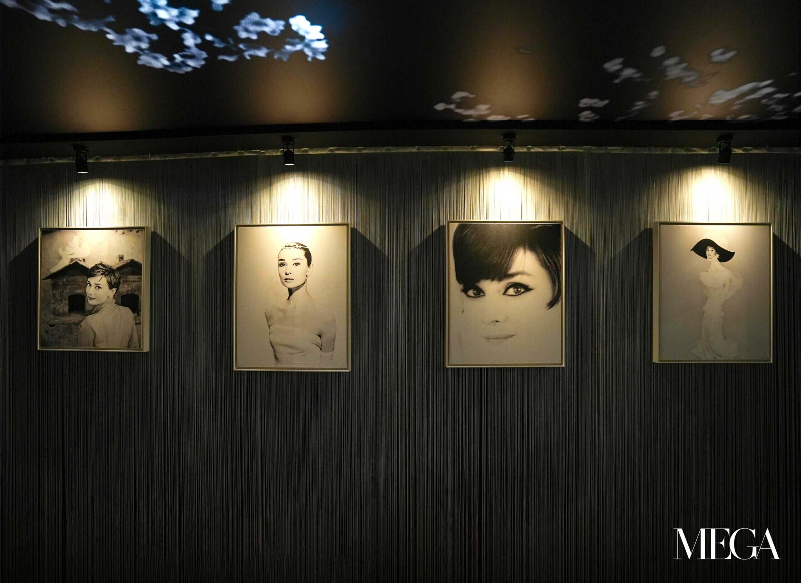 "Intimate Audrey" Exhibit
