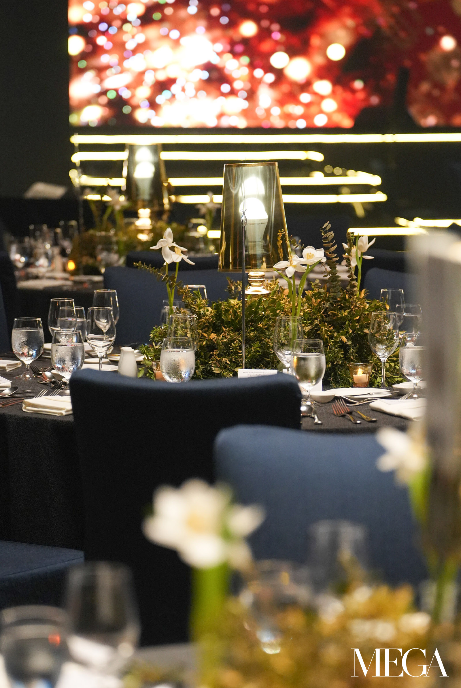 Avignon Gala