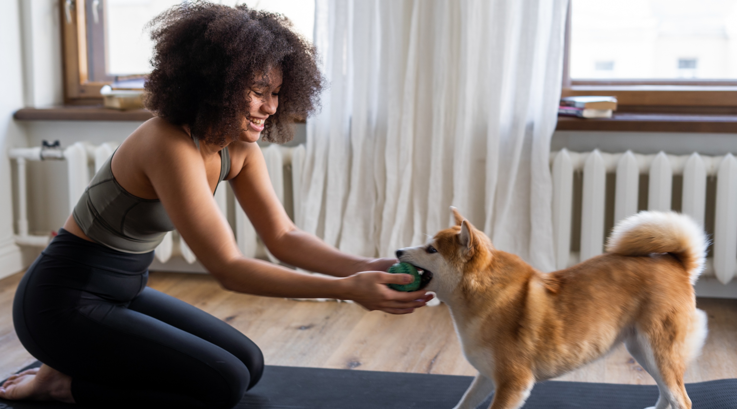 7 Exercises You and Your Dog Can Do Together