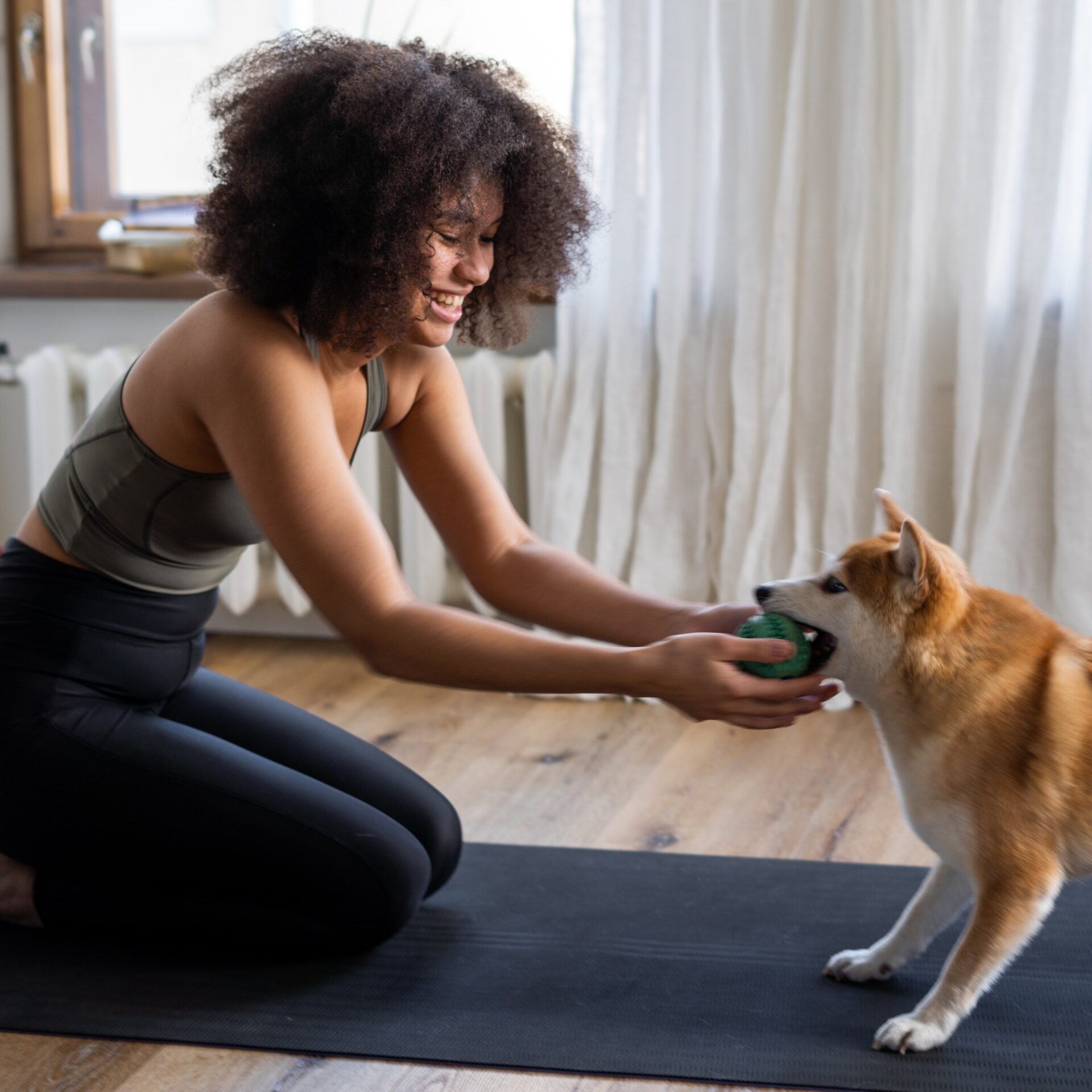 7 Exercises You and Your Dog Can Do Together