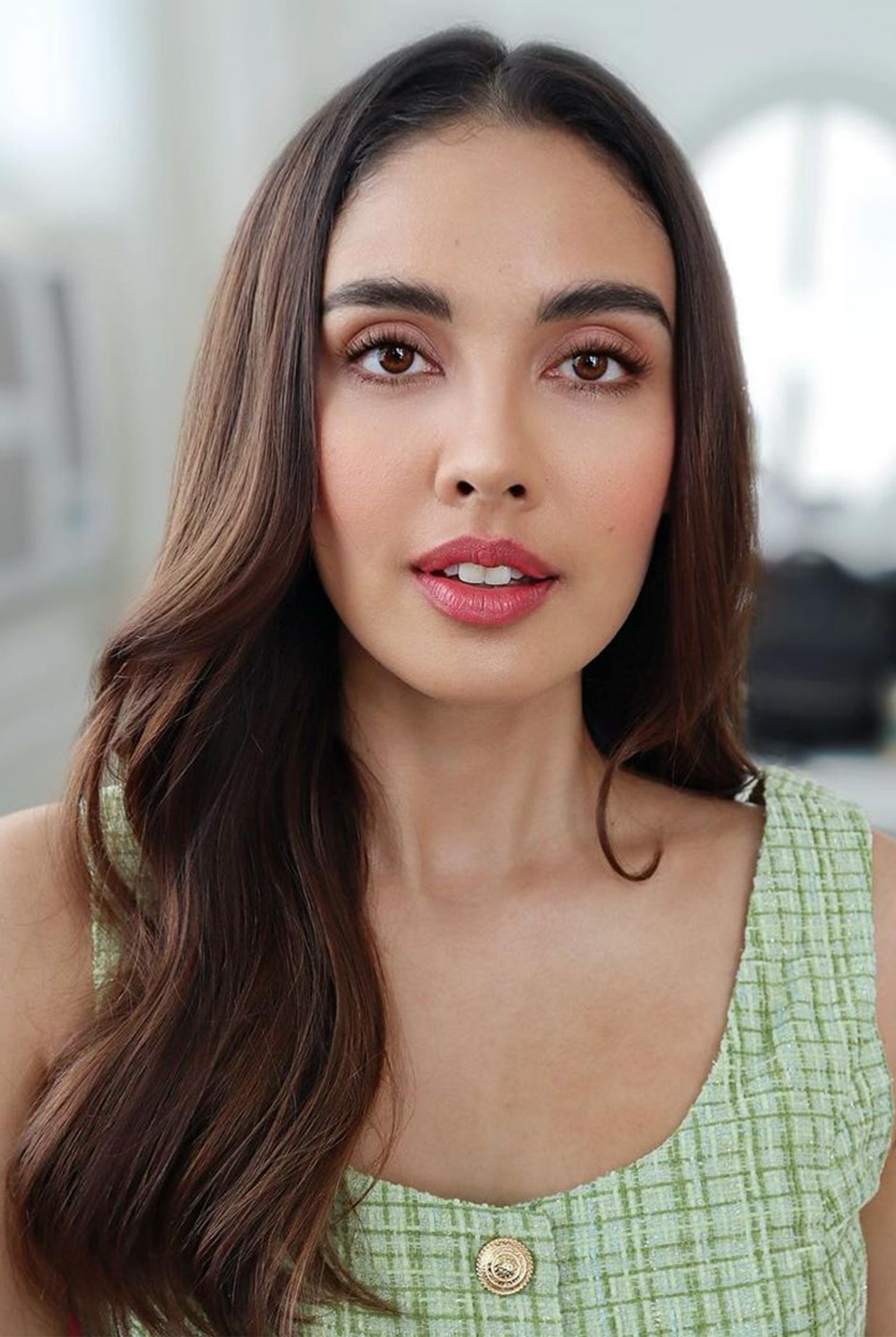 Megan Young The Beginner's Guide to Makeup Brushes 
