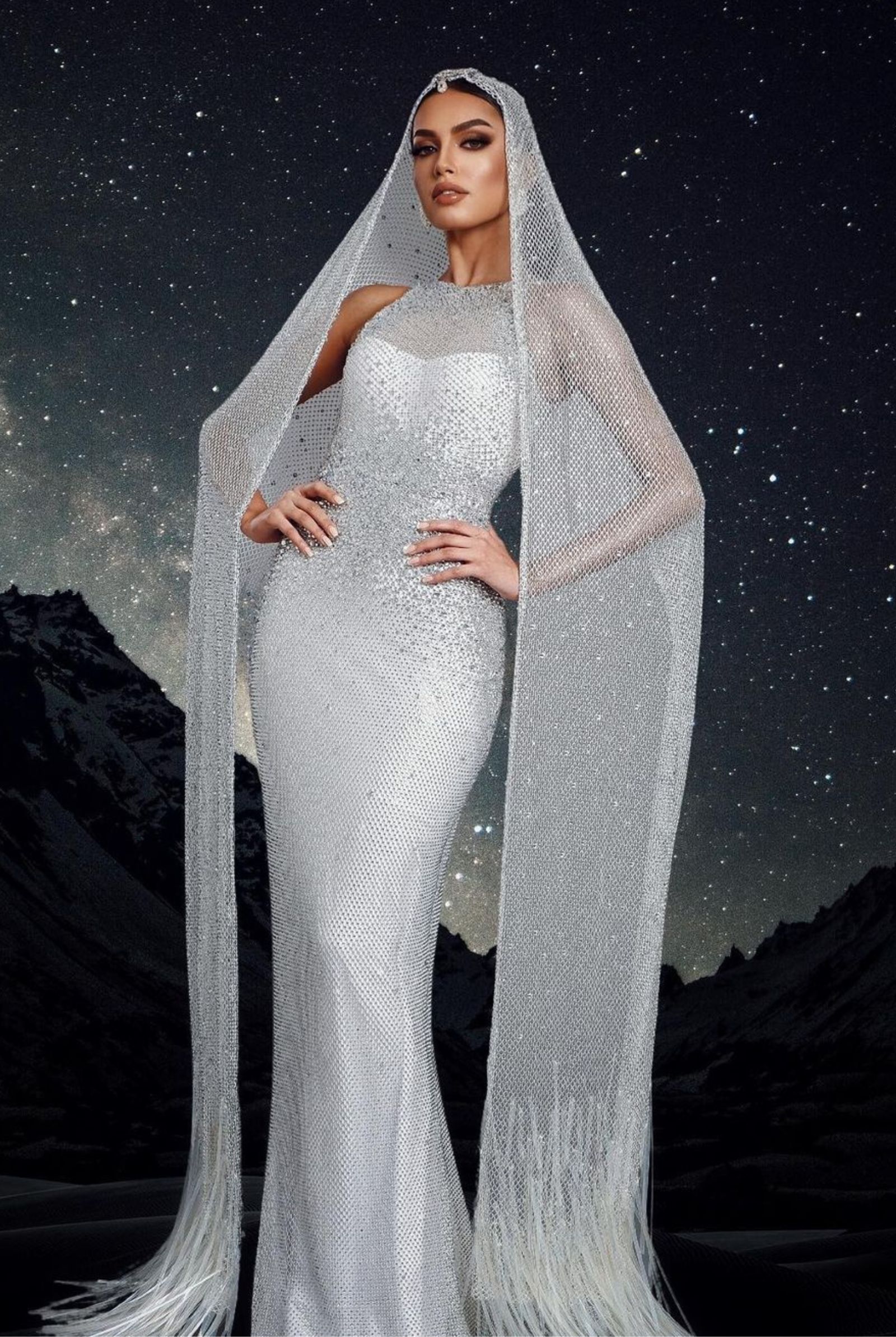 Erica Robin silver preliminary gown