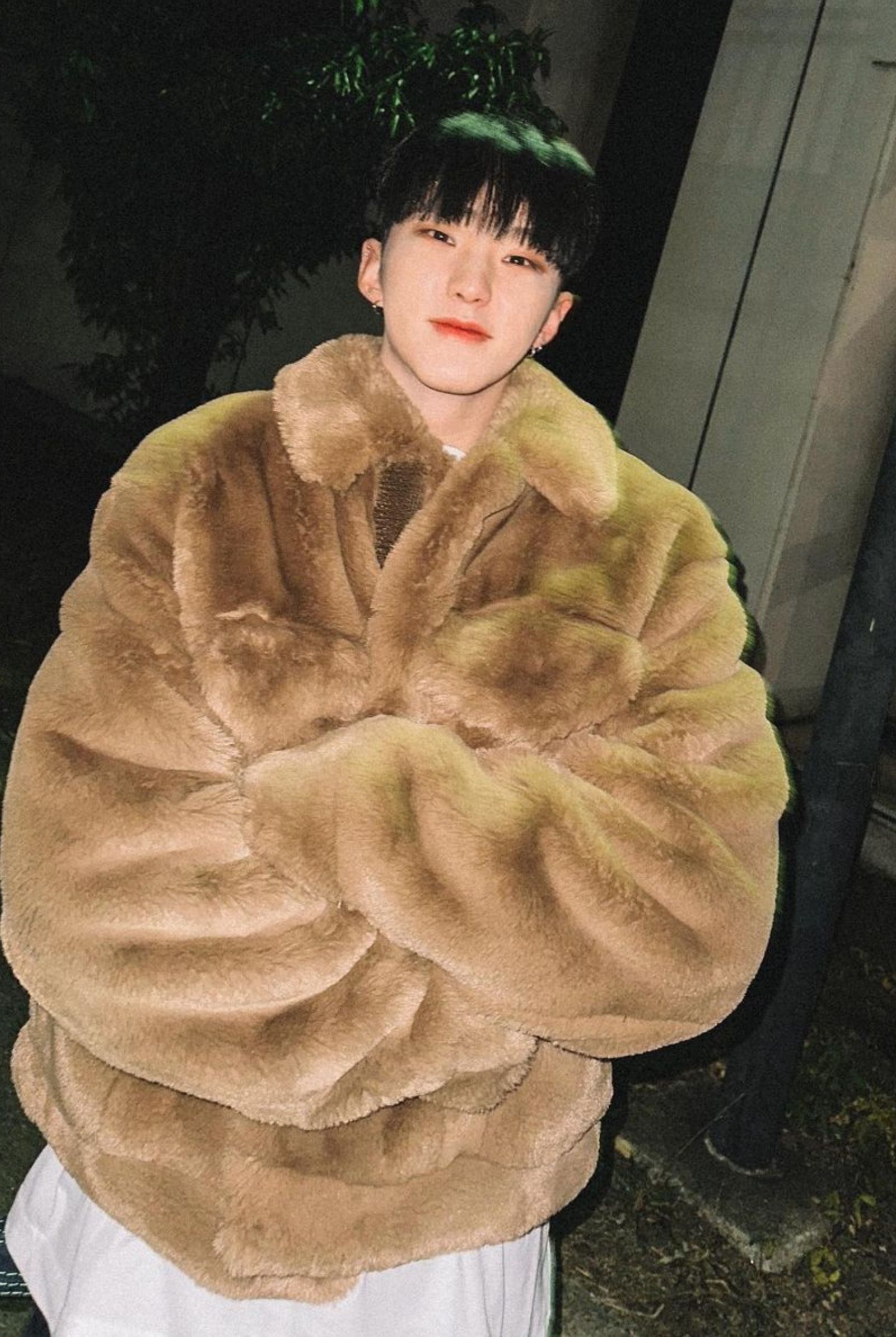 SEVENTEEN Hoshi boyfriend