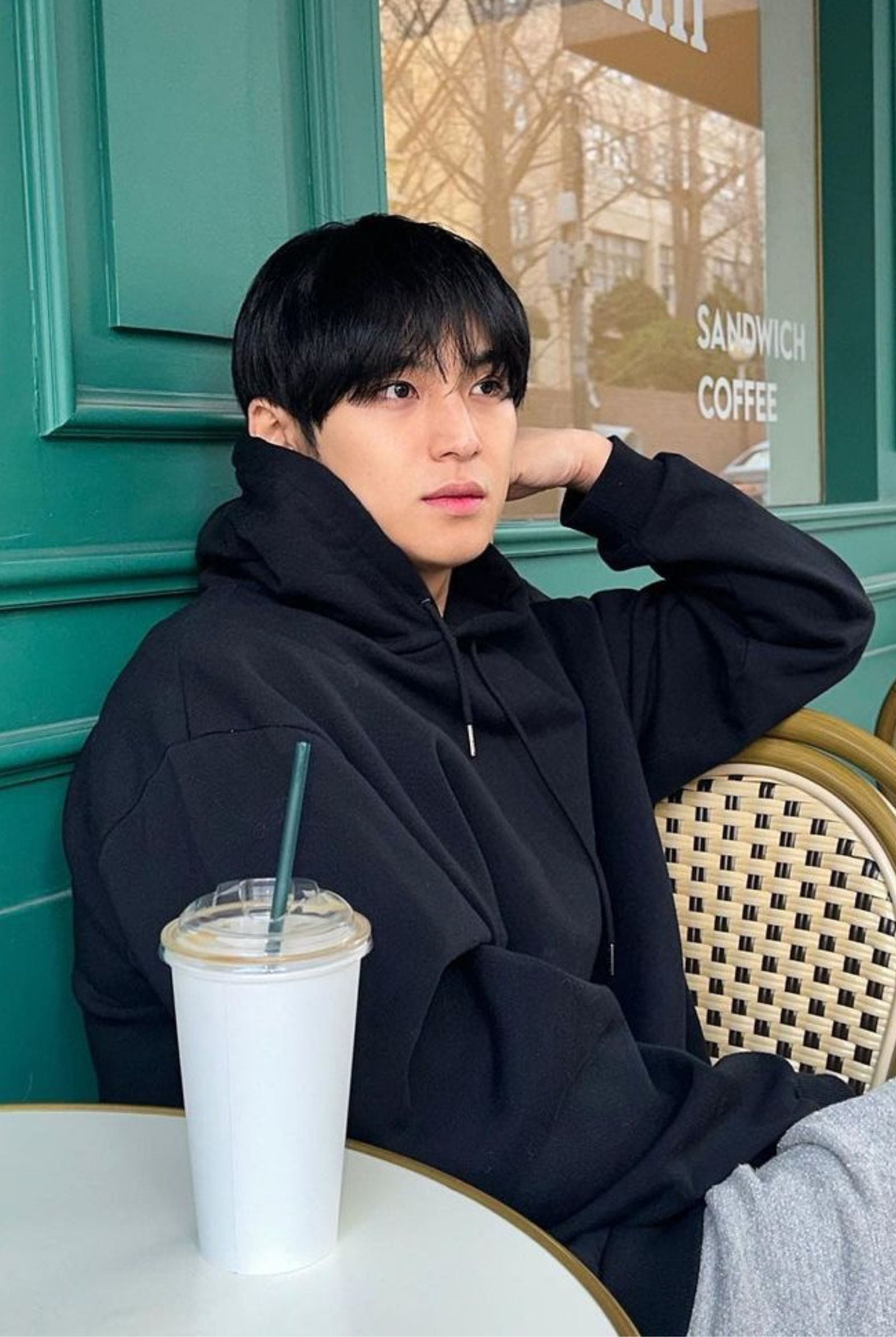 SEVENTEEN Mingyu boyfriend