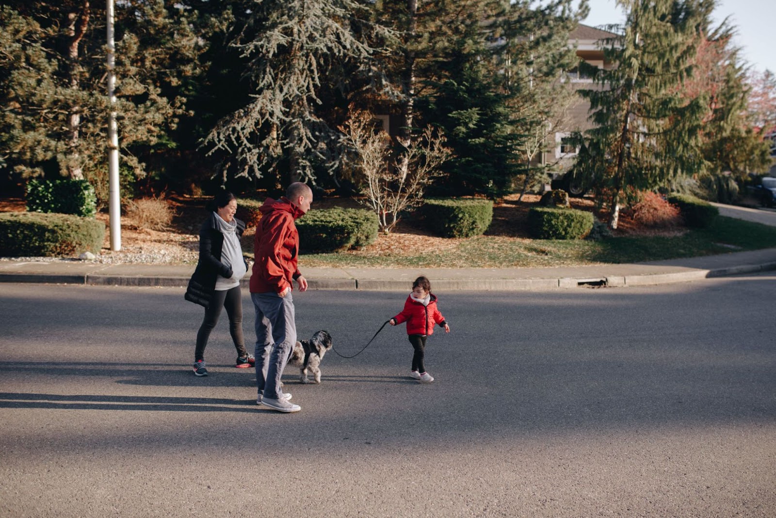 Make time for activities with your family pet