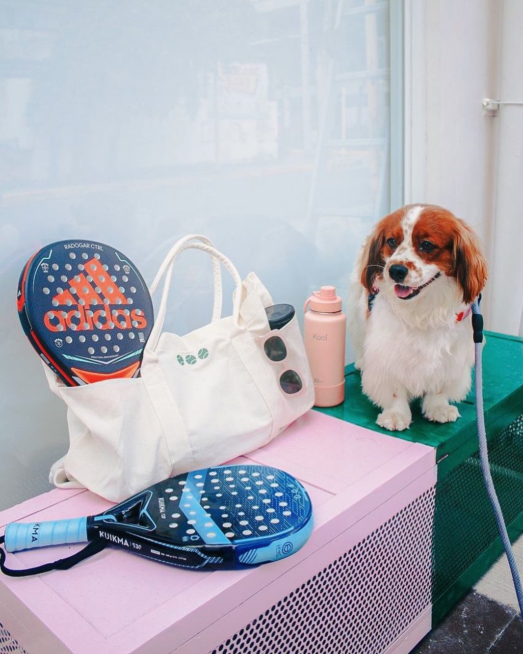 Padel Club racket