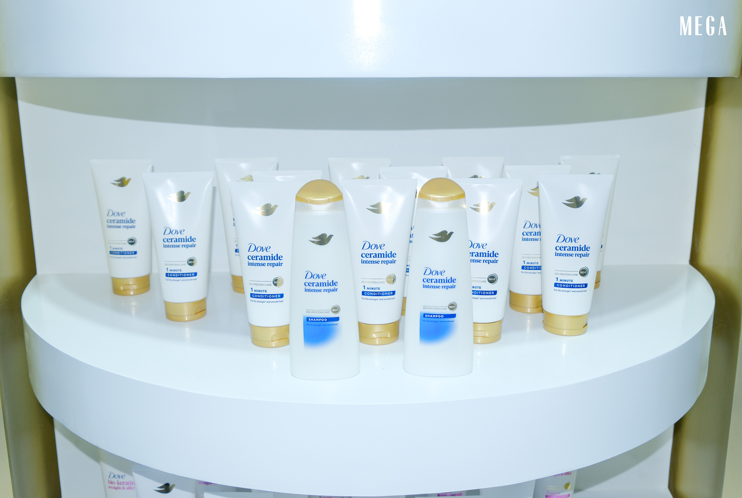 The new Dove Ceramide Intense Repair Shampoo and Conditioner.