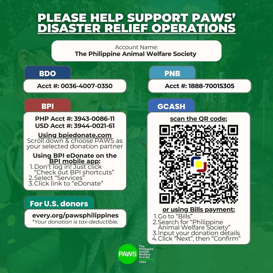 PAWS Typhoon Carina Donations