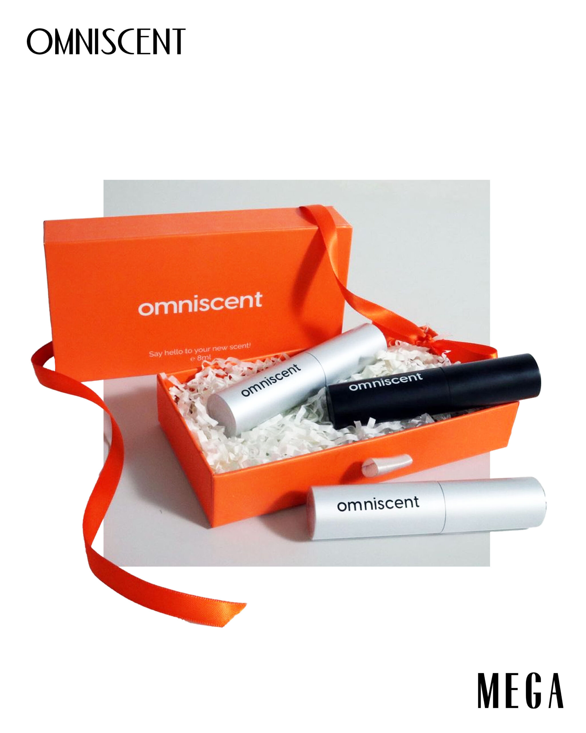 Omniscent