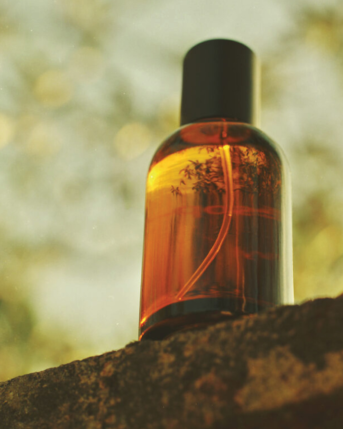 Virēre is fresh and verdant fragrance inspired by summer moments spent under a fig tree