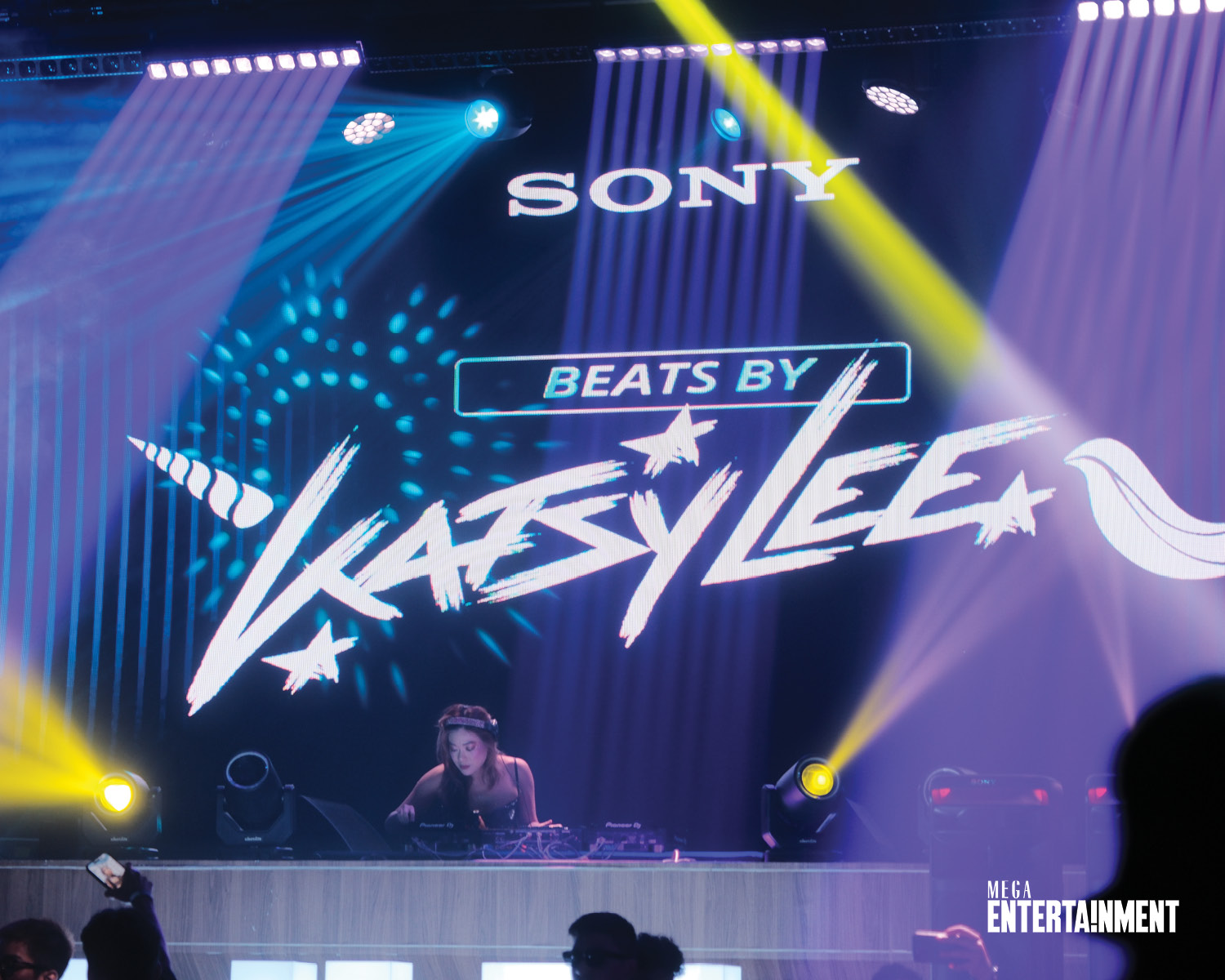 mega-ent-sony-event-2024-inart4