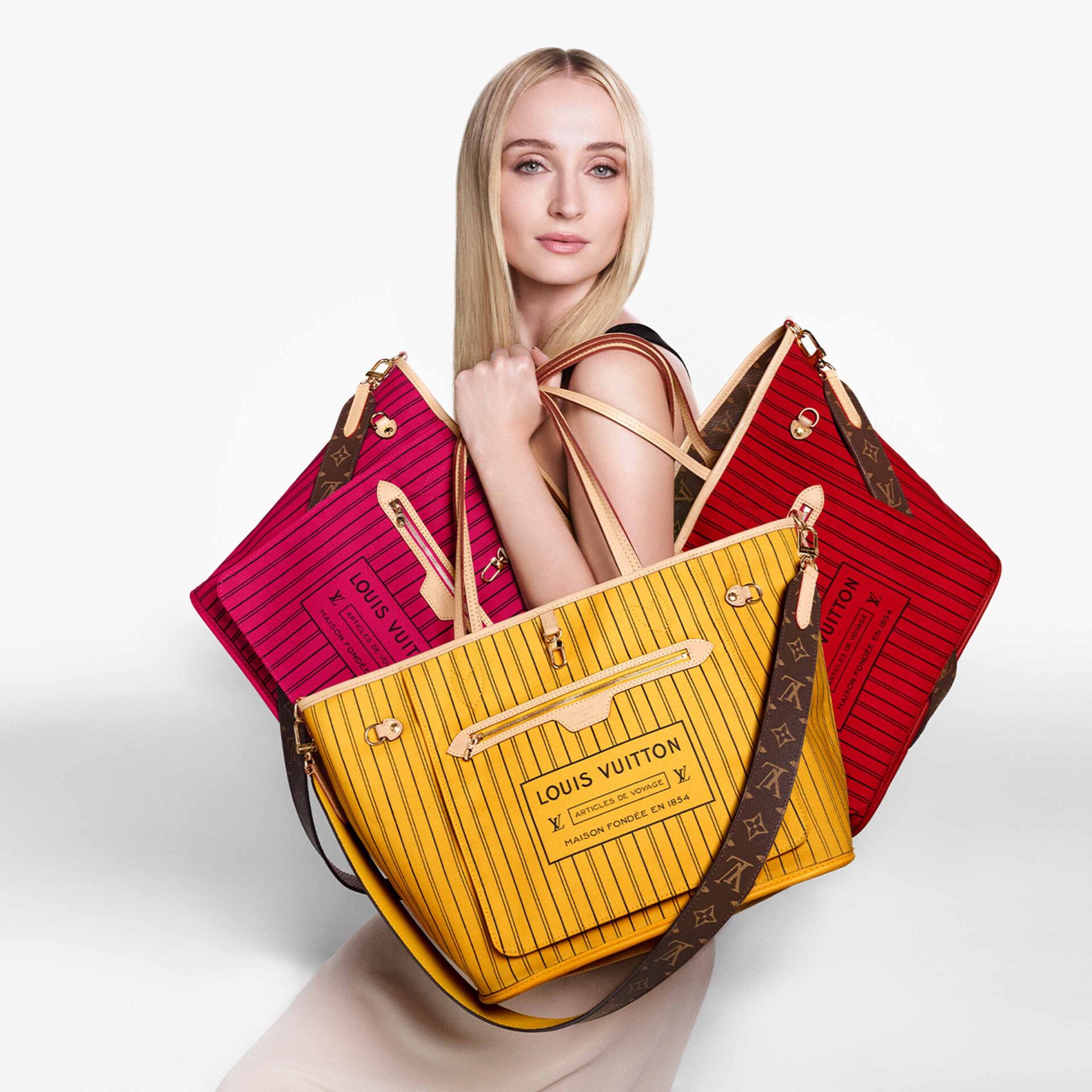 Louis Vuitton Neverfull Inside Out