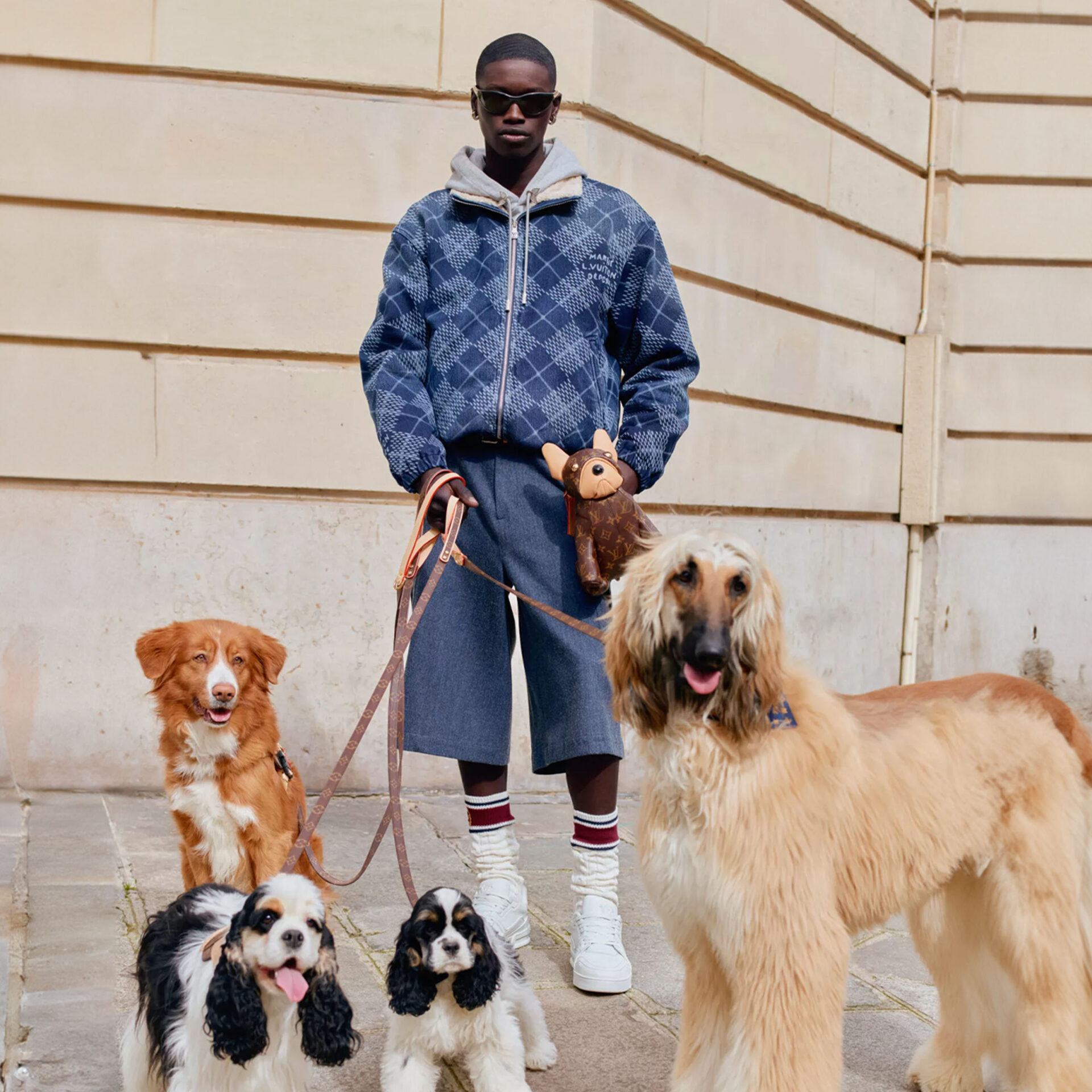 Holiday Gift Guide for Pets and Pet Owners