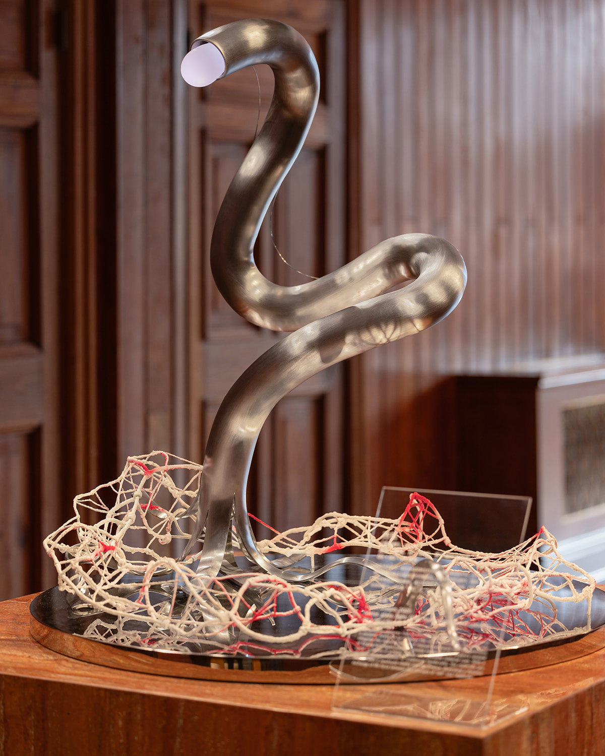 BVLGARI Presents Serpenti Infinito for 2024 Exhibit