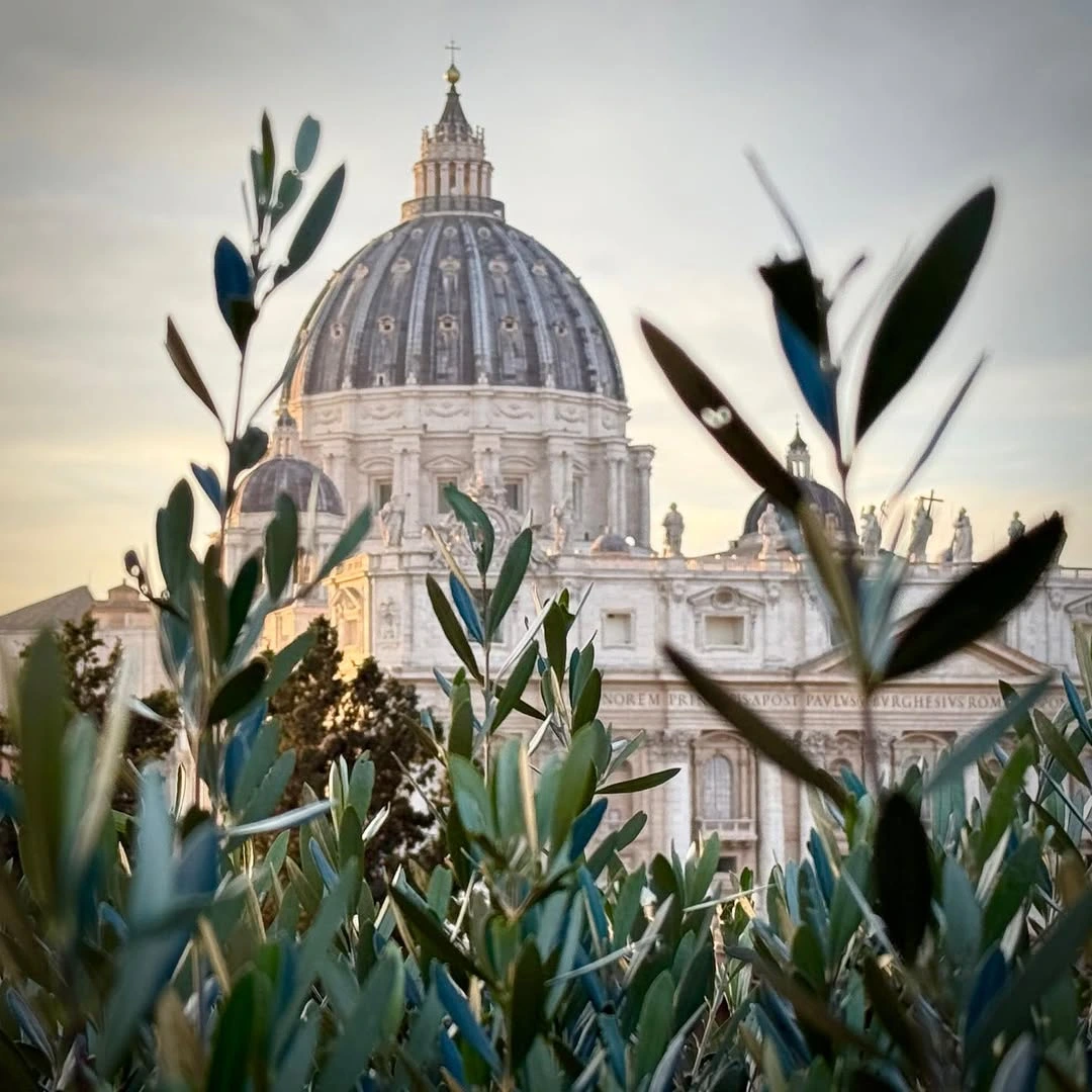 At vatican city, white smoke signals a decision of a new pope