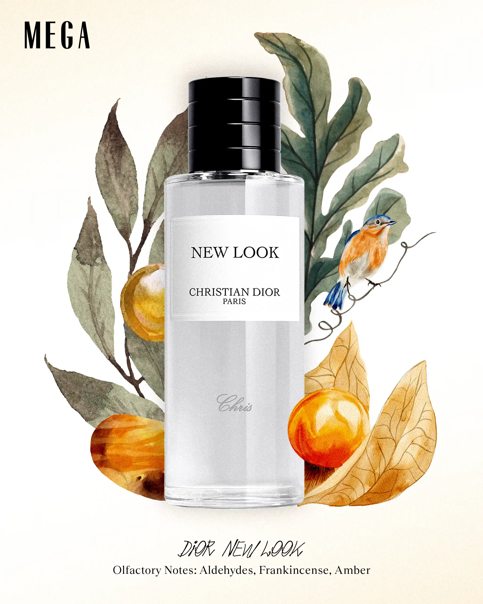 DIOR New Look
