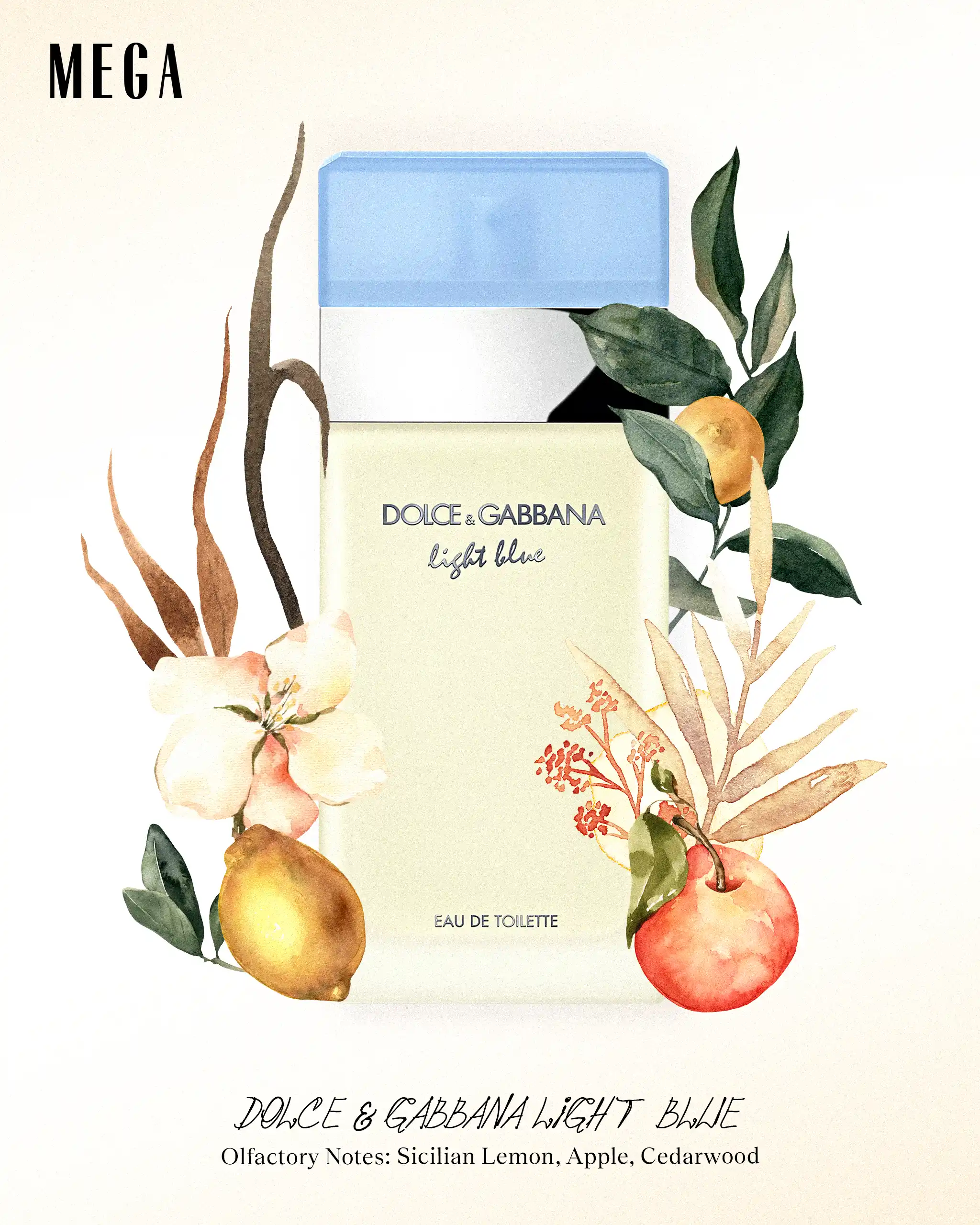 DOLCE & GABBANA Light Blue
