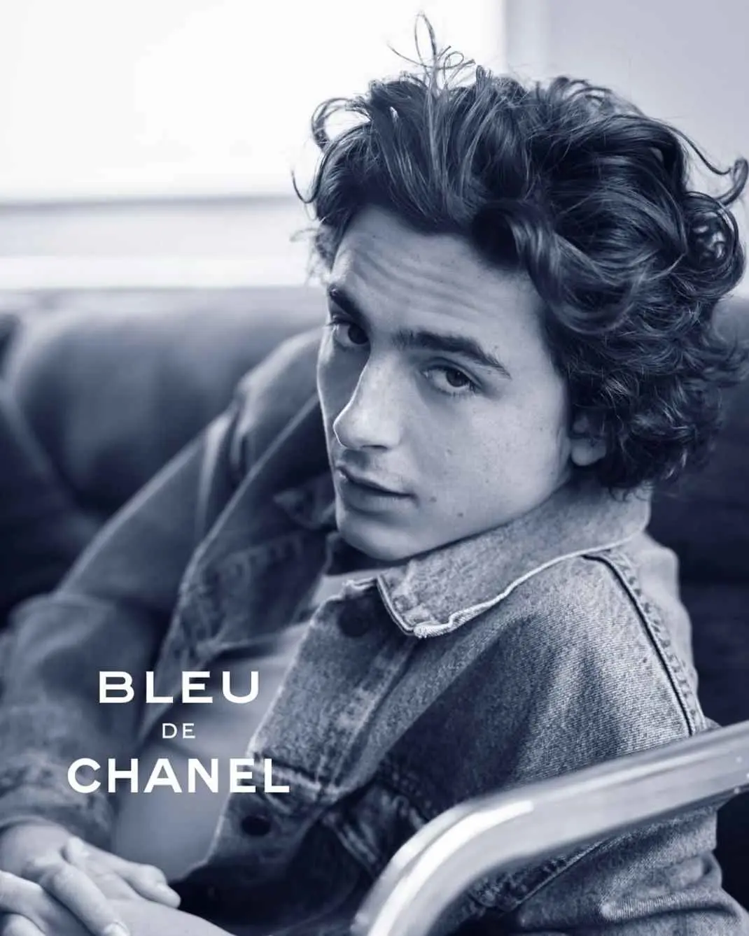 Timothée Chalamet