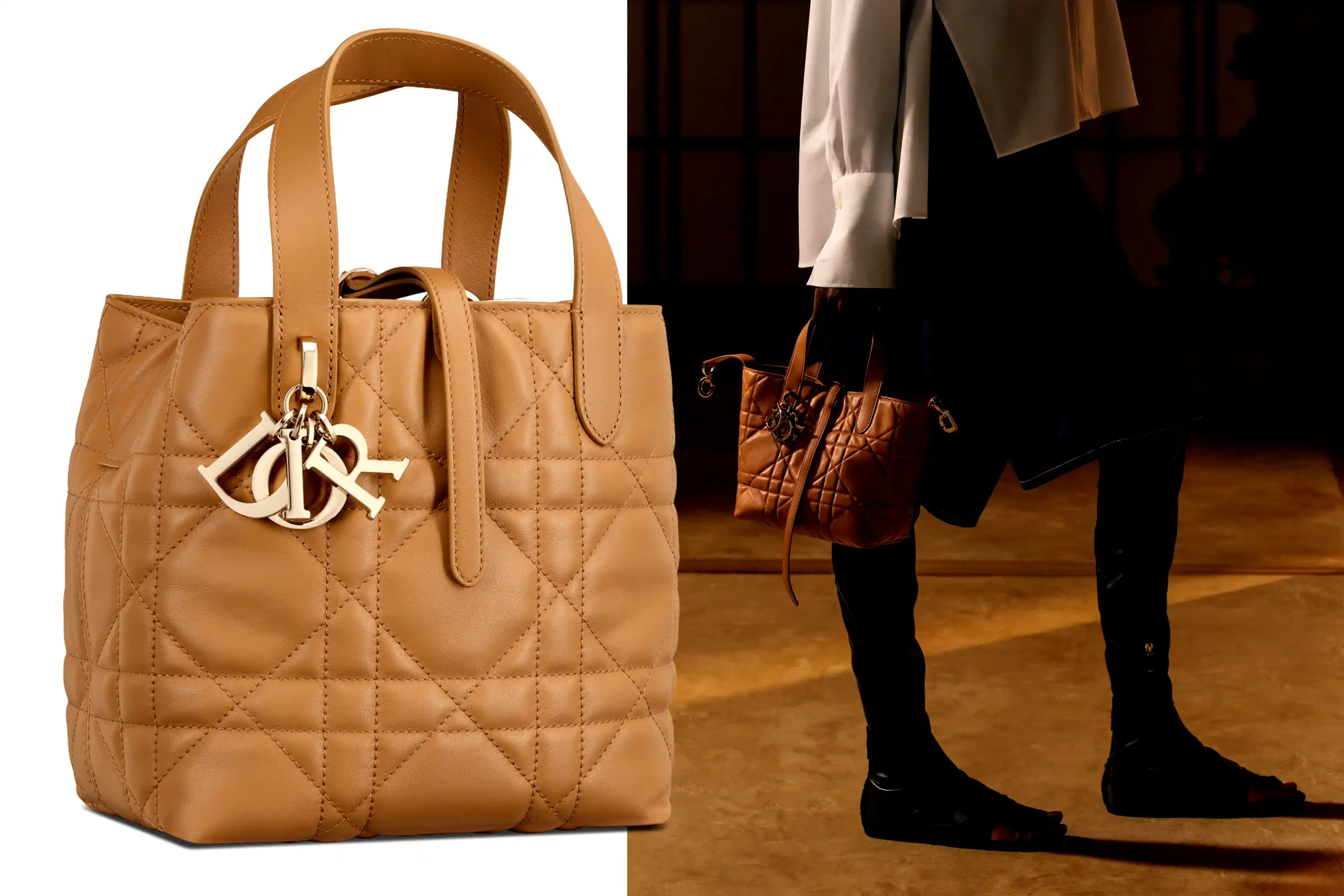 Dior Toujours Vertical Tote Bag
