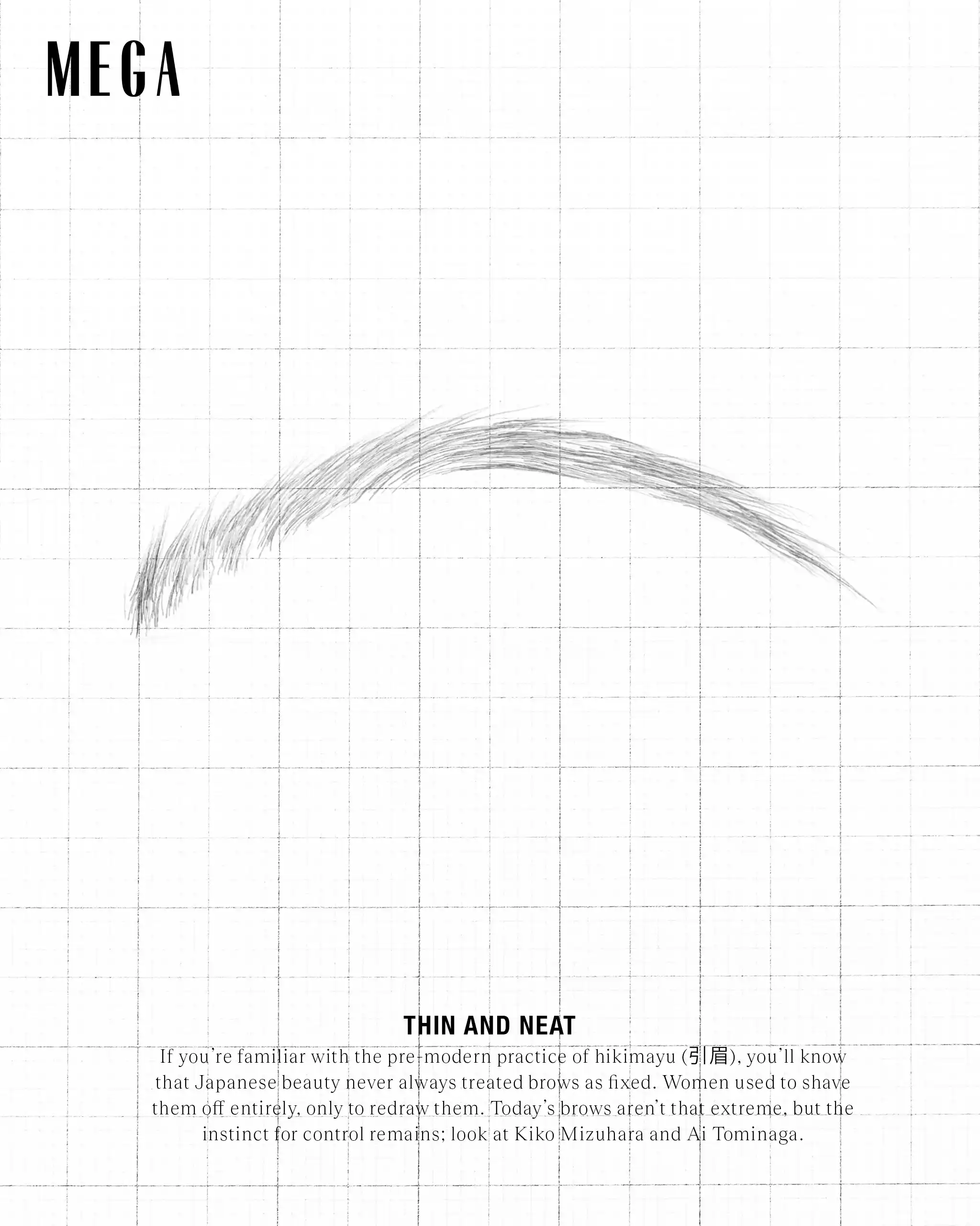 Thin and Neat Eyebrows