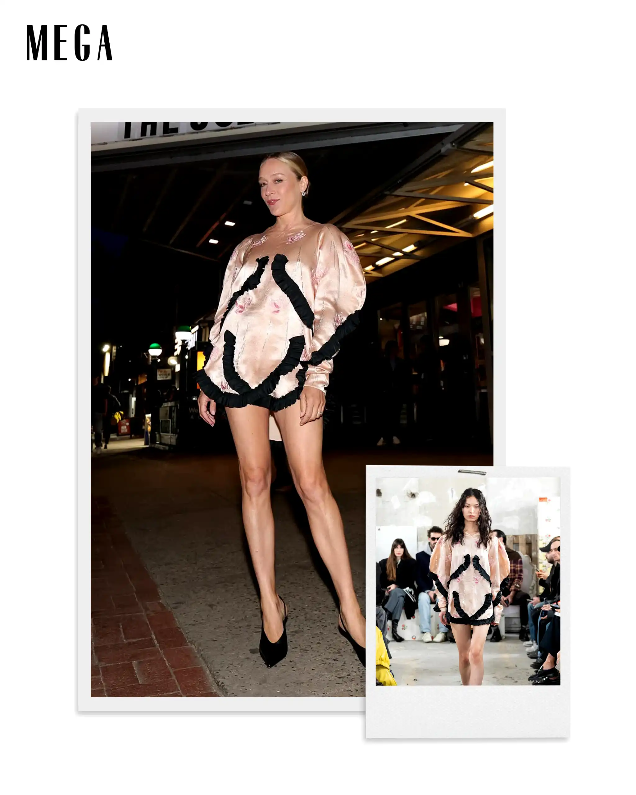 Chloe sevigny Meryll Rogge Marni 