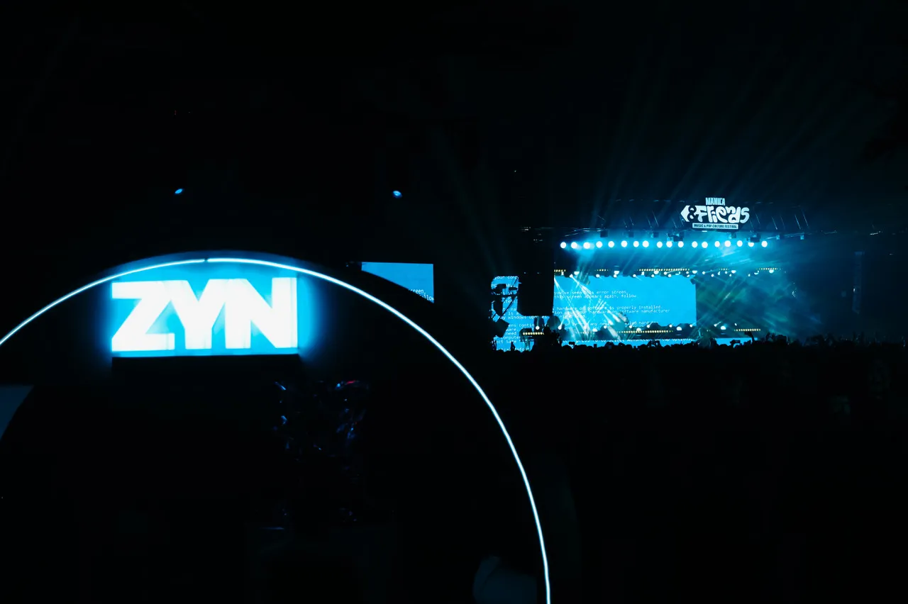 One of ZYN's ZYN Socials events