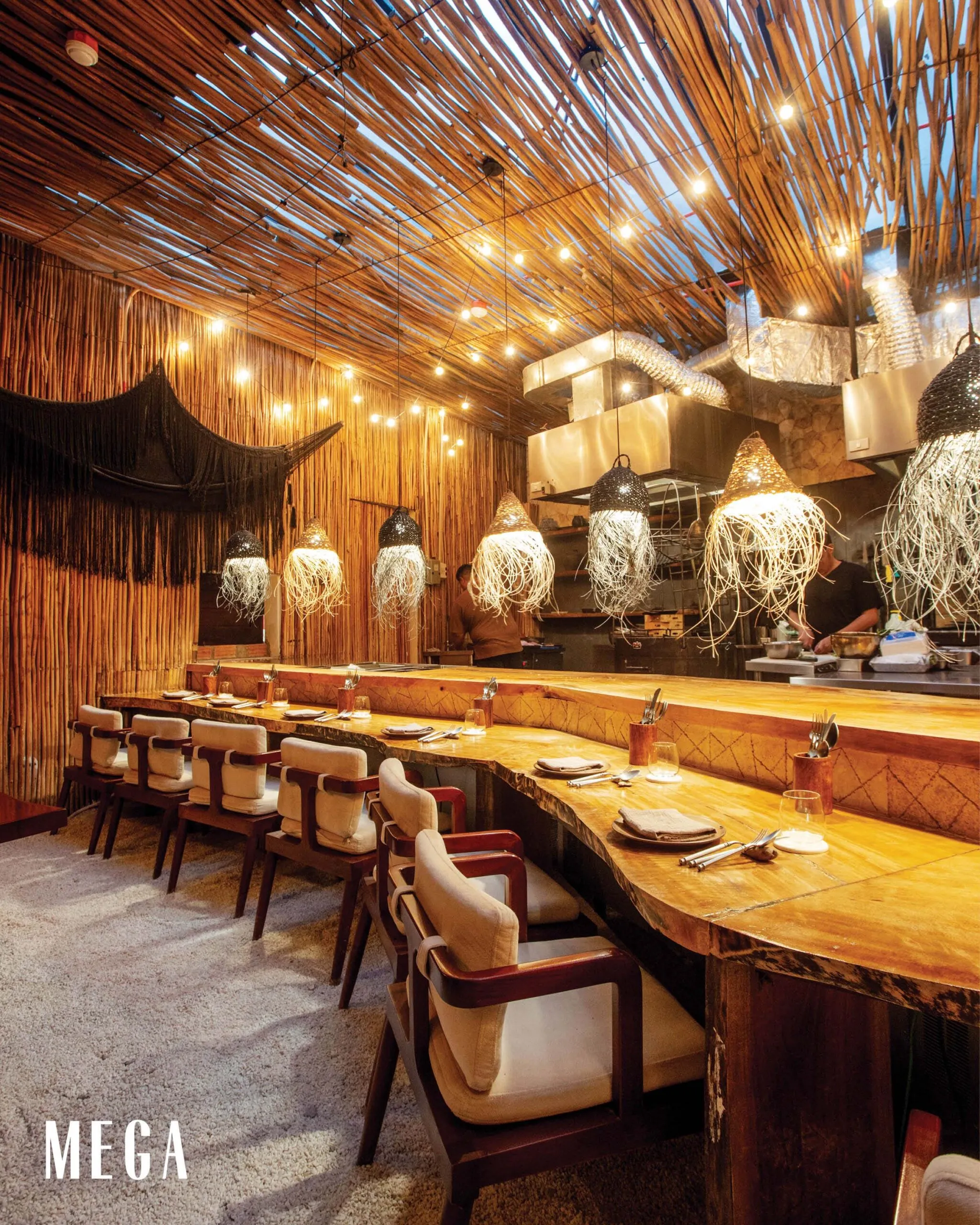 INSIDE KASA PALMA