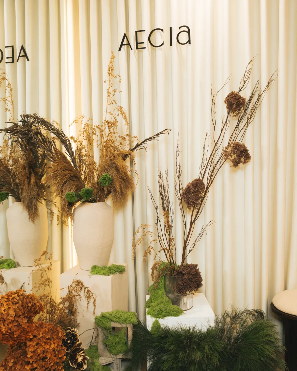 Aecia's brand-new rental studio.