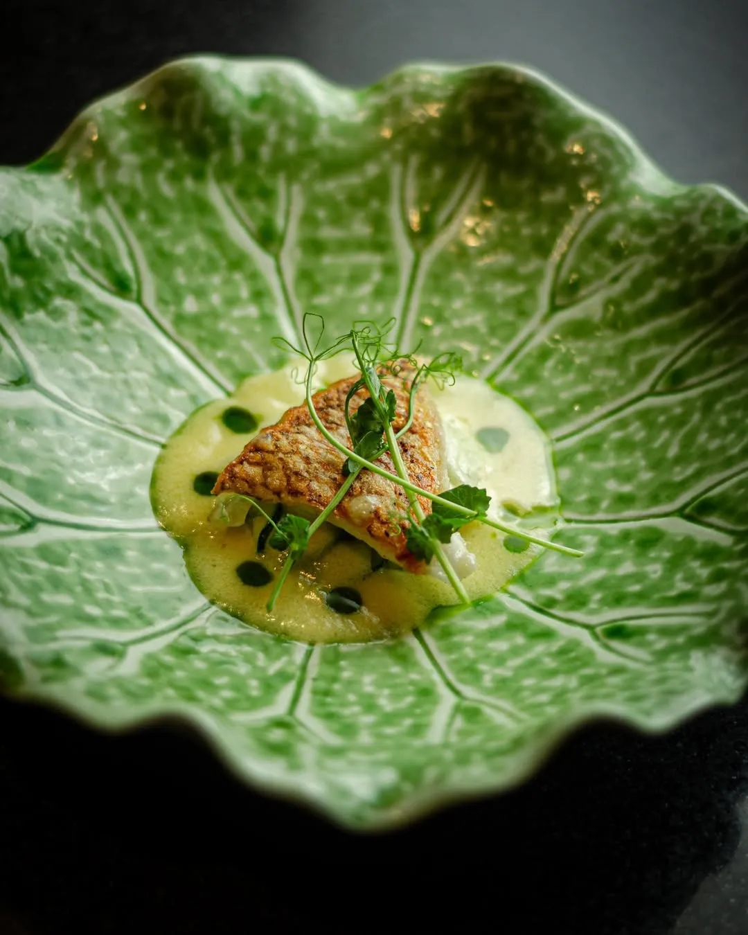 Sauteed Tai-seabream