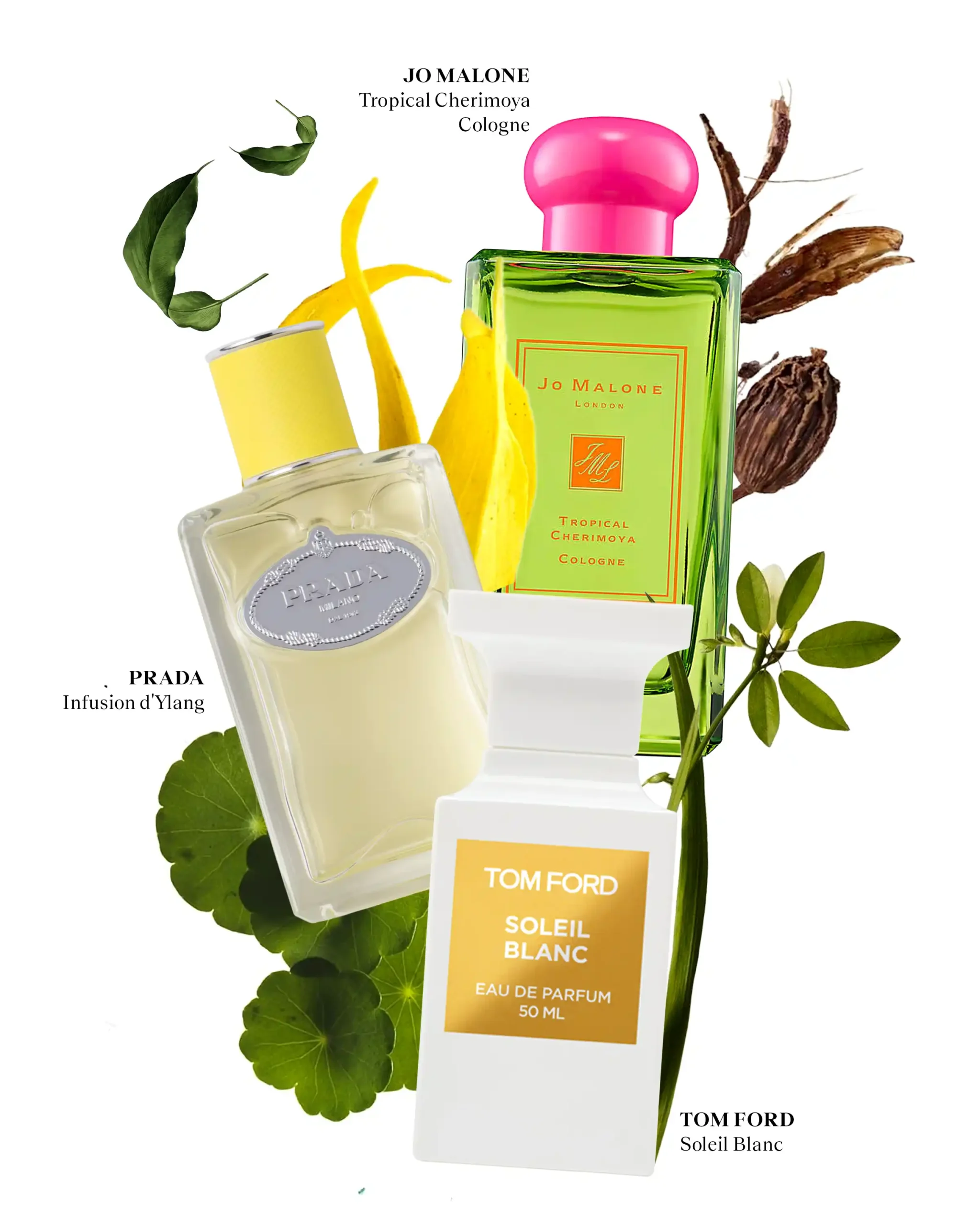 scents with tropical notes